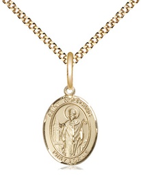 [9323GF/18G] 14kt Gold Filled Saint Wolfgang Pendant on a 18 inch Gold Plate Light Curb chain