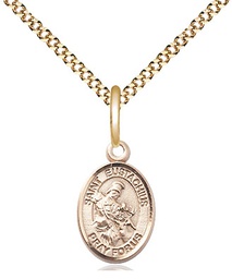 [9356GF/18G] 14kt Gold Filled Saint Eustachius Pendant on a 18 inch Gold Plate Light Curb chain