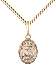[9373GF/18G] 14kt Gold Filled Saint Andrew Kim Taegon Pendant on a 18 inch Gold Plate Light Curb chain