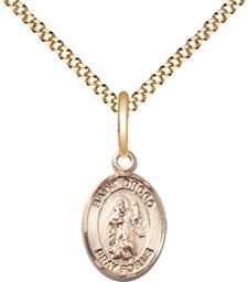 [9386GF/18G] 14kt Gold Filled Saint Drogo Pendant on a 18 inch Gold Plate Light Curb chain