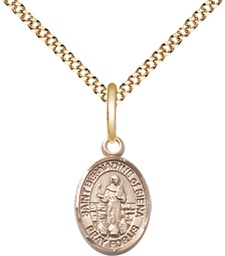 [9387GF/18G] 14kt Gold Filled Saint Bernadine of Sienna Pendant on a 18 inch Gold Plate Light Curb chain