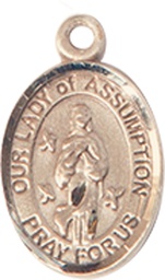 [9388GF] 14kt Gold Filled Our Lady of Assumption Medal