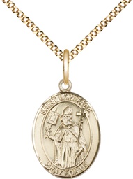 [8009GF/18G] 14kt Gold Filled Saint Boniface Pendant on a 18 inch Gold Plate Light Curb chain