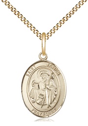 [8050GF/18G] 14kt Gold Filled Saint James the Greater Pendant on a 18 inch Gold Plate Light Curb chain