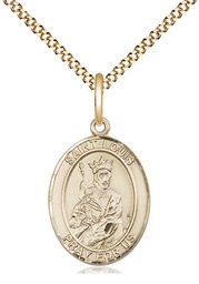 [8081GF/18G] 14kt Gold Filled Saint Louis Pendant on a 18 inch Gold Plate Light Curb chain