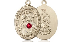 [8098GF-STN7] 14kt Gold Filled Scapular - Ruby Stone Medal with a 3mm Ruby Swarovski stone