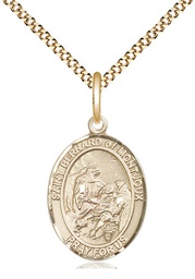 [8264GF/18G] 14kt Gold Filled Saint Bernard of Montjoux Pendant on a 18 inch Gold Plate Light Curb chain