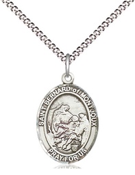 [8264SS/18S] Sterling Silver Saint Bernard of Montjoux Pendant on a 18 inch Light Rhodium Light Curb chain