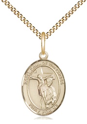 [8318GF/18G] 14kt Gold Filled Saint Paul of the Cross Pendant on a 18 inch Gold Plate Light Curb chain