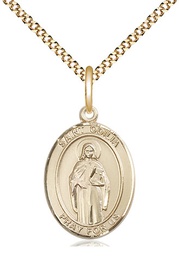 [8319GF/18G] 14kt Gold Filled Saint Odilia Pendant on a 18 inch Gold Plate Light Curb chain