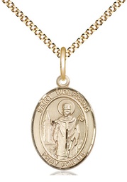 [8323GF/18G] 14kt Gold Filled Saint Wolfgang Pendant on a 18 inch Gold Plate Light Curb chain