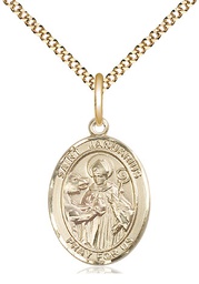 [8351GF/18G] 14kt Gold Filled Saint Januarius Pendant on a 18 inch Gold Plate Light Curb chain