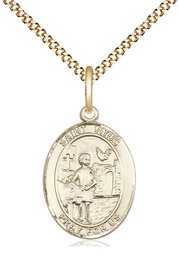 [8368GF/18G] 14kt Gold Filled Saint Vitus Pendant on a 18 inch Gold Plate Light Curb chain