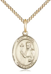 [8380GF/18G] 14kt Gold Filled Saint Regis Pendant on a 18 inch Gold Plate Light Curb chain
