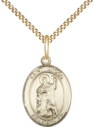 [8386GF/18G] 14kt Gold Filled Saint Drogo Pendant on a 18 inch Gold Plate Light Curb chain