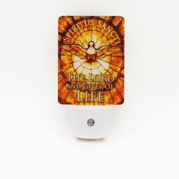 [C-NL115] LED Night Light Holy Spirit