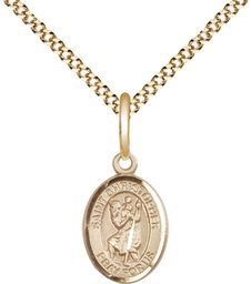 [9022GF/18G] 14kt Gold Filled Saint Christopher Pendant on a 18 inch Gold Plate Light Curb chain