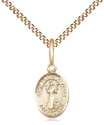 [9036GF/18G] 14kt Gold Filled Saint Francis of Assisi Pendant on a 18 inch Gold Plate Light Curb chain