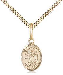 [9070GF/18G] 14kt Gold Filled Saint Mark the Evangelist Pendant on a 18 inch Gold Plate Light Curb chain