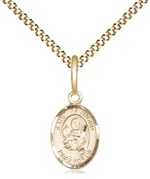 [9091GF/18G] 14kt Gold Filled Saint Raymond Nonnatus Pendant on a 18 inch Gold Plate Light Curb chain