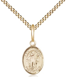 [9093GF/18G] 14kt Gold Filled Saint Richard Pendant on a 18 inch Gold Plate Light Curb chain