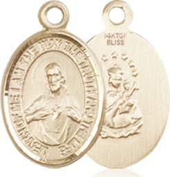[9098GF] 14kt Gold Filled Scapular Medal
