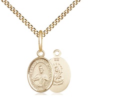 [9098GF/18G] 14kt Gold Filled Scapular Pendant on a 18 inch Gold Plate Light Curb chain