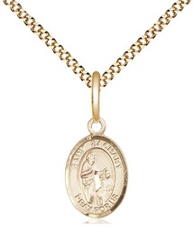 [9116GF/18G] 14kt Gold Filled Saint Zachary Pendant on a 18 inch Gold Plate Light Curb chain