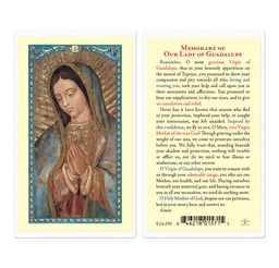 [HI-E24-250] Our Lady of Guadalupe Prayer Laminated Holy Card