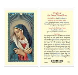 [HI-E24-945] Chaplet of Our Lady of Divine Mercy Laminated Holy Card