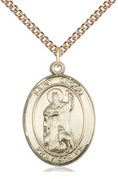 [7386GF/24GF] 14kt Gold Filled Saint Drogo Pendant on a 24 inch Gold Filled Heavy Curb chain