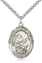 [7264SS/24SS] Sterling Silver Saint Bernard of Montjoux Pendant on a 24 inch Sterling Silver Heavy Curb chain