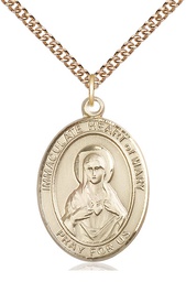[7337GF/24GF] 14kt Gold Filled Immaculate Heart of Mary Pendant on a 24 inch Gold Filled Heavy Curb chain