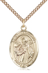 [7351GF/24GF] 14kt Gold Filled Saint Januarius Pendant on a 24 inch Gold Filled Heavy Curb chain