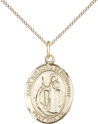 [8385GF/18GF] 14kt Gold Filled Saint Raymond of Penafort Pendant on a 18 inch Gold Filled Light Curb chain