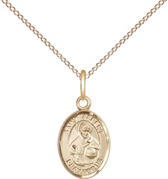 [9001GF/18GF] 14kt Gold Filled Saint Albert the Great Pendant on a 18 inch Gold Filled Light Curb chain