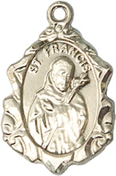 [0822FCGF] 14kt Gold Filled Saint Francis Medal