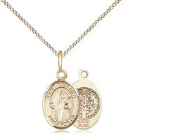 [9008GF/18GF] 14kt Gold Filled Saint Benedict Pendant on a 18 inch Gold Filled Light Curb chain