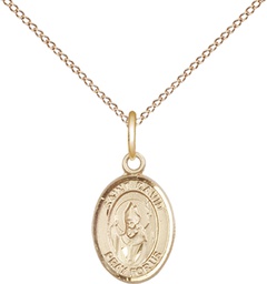 [9027GF/18GF] 14kt Gold Filled Saint David of Wales Pendant on a 18 inch Gold Filled Light Curb chain