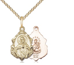 [0822SGF/18G] 14kt Gold Filled Scapular Pendant on a 18 inch Gold Plate Light Curb chain