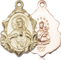 [0822SKT] 14kt Gold Scapular Medal