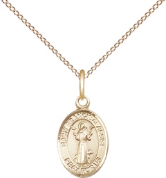 [9036GF/18GF] 14kt Gold Filled Saint Francis of Assisi Pendant on a 18 inch Gold Filled Light Curb chain