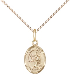 [9068GF/18GF] 14kt Gold Filled Saint Luke the Apostle Pendant on a 18 inch Gold Filled Light Curb chain