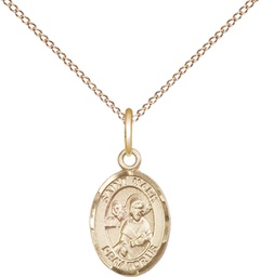[9070GF/18GF] 14kt Gold Filled Saint Mark the Evangelist Pendant on a 18 inch Gold Filled Light Curb chain
