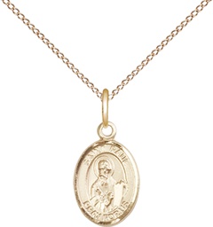 [9086GF/18GF] 14kt Gold Filled Saint Paul the Apostle Pendant on a 18 inch Gold Filled Light Curb chain
