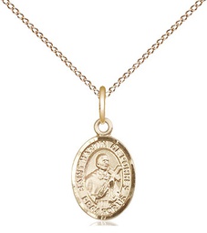 [9089GF/18GF] 14kt Gold Filled Saint Martin de Porres Pendant on a 18 inch Gold Filled Light Curb chain