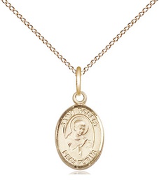 [9096GF/18GF] 14kt Gold Filled Saint Robert Bellarmine Pendant on a 18 inch Gold Filled Light Curb chain