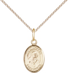 [9096GF/18GF] 14kt Gold Filled Saint Robert Bellarmine Pendant on a 18 inch Gold Filled Light Curb chain