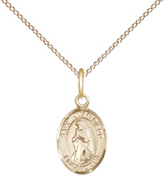 [9111GF/18GF] 14kt Gold Filled Saint Juan Diego Pendant on a 18 inch Gold Filled Light Curb chain