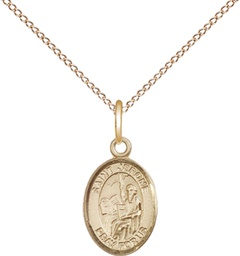 [9135GF/18GF] 14kt Gold Filled Saint Jerome Pendant on a 18 inch Gold Filled Light Curb chain